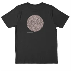 .DIPLORIA LABYRINTHIFORMIS X -Azir Shop 6531d120cfc115.44730096