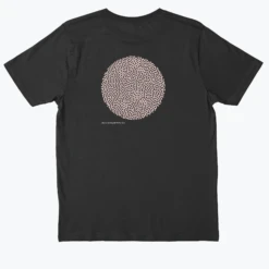 .DIPLORIA LABYRINTHIFORMIS X -Azir Shop 6531d12115f0a0.59618440