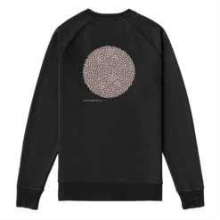 .DIPLORIA LABYRINTHIFORMIS X -Azir Shop 6531d122377d90.94057108