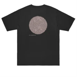 .DIPLORIA LABYRINTHIFORMIS X -Azir Shop 6531d1231b56b2.86405665